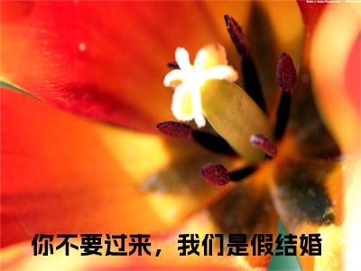 陆墨尘苏小影（你不要过来，我们是假结婚）全文免费阅读无弹窗大结局_（你不要过来，我们是假结婚无弹窗）最新章节免费阅读_笔趣阁