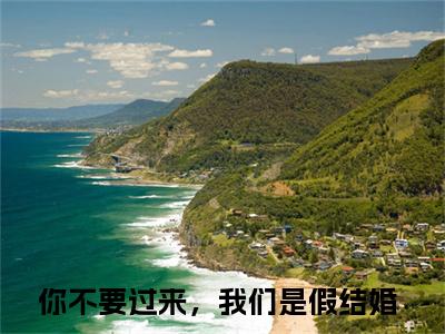 陆墨尘苏小影小说全文免费阅读小说你不要过来，我们是假结婚热门小说完整版阅读