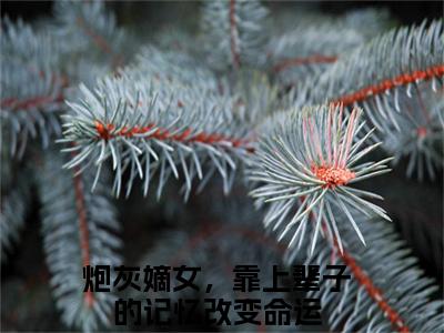 沈念桃墨九渊（炮灰嫡女，靠上辈子的记忆改变命运）全文免费阅读无弹窗大结局_沈念桃墨九渊最新章节列表_笔趣阁（炮灰嫡女，靠上辈子的记忆改变命运）