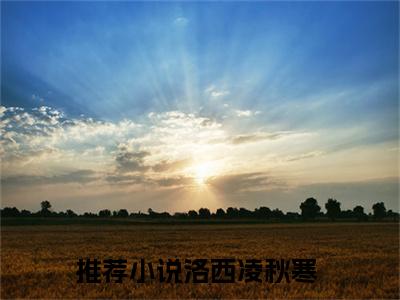 替嫁后：哥哥们下跪求我回家小说免费阅读全文在线阅读,洛西凌秋寒的小说在线阅读全文