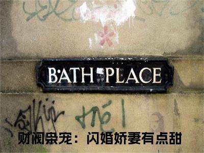 财阀枭宠：闪婚娇妻有点甜（简漾陆易琛）在线阅读小说全文无删减-简漾陆易琛小说大结局