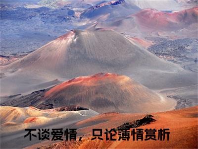 顾泉袁野小说全文免费阅读无弹窗大结局_顾泉袁野不谈爱情，只论薄情最新章节列表_笔趣阁（顾泉袁野）