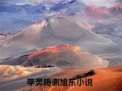 李灵梅谢旭东全文免费阅读无弹窗,李灵梅谢旭东小说最新章节列表无删减_笔趣阁
