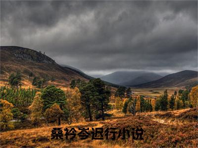《桑衿岑迟行》全文免费阅读最新章节大结局-桑衿岑迟行 全文全章节免费阅读