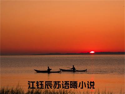 江钰辰苏语曦精彩小说（江钰辰苏语曦）阅读大结局 江钰辰苏语曦免费版小说更新阅读_笔趣阁
