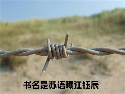 苏语曦江钰辰全文免费阅读(苏语曦江钰辰)全文免费阅读无弹窗大结局_(苏语曦江钰辰)苏语曦江钰辰小说免费阅读无弹窗最新章节列表_笔趣阁(苏语曦江钰辰)