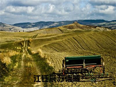 江钰辰苏语曦无广告小说（江钰辰苏语曦）全文免费阅读无弹窗大结局-江钰辰苏语曦在线阅读