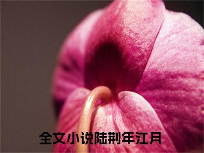 军婚超甜：高冷糙汉又被撩哭了（陆荆年江月）是什么小说-（陆荆年江月）无弹窗免费阅读大结局最新章节列表_笔趣阁
