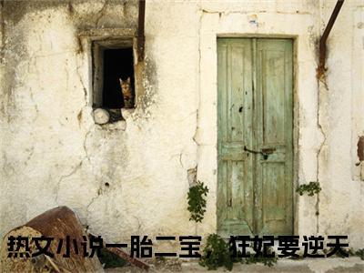 凤肆月帝玄殇（一胎二宝，狂妃要逆天）免费阅读完整版-（凤肆月帝玄殇小说）一胎二宝，狂妃要逆天全文大结局已完结
