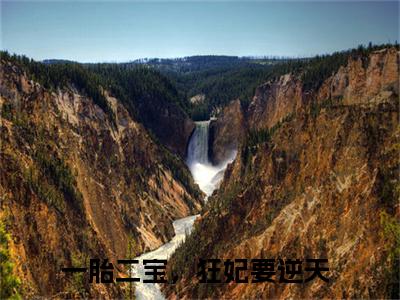 一胎二宝，狂妃要逆天（凤肆月帝玄殇）全文免费阅读无弹窗大结局_一胎二宝，狂妃要逆天免费最新章节列表_笔趣阁