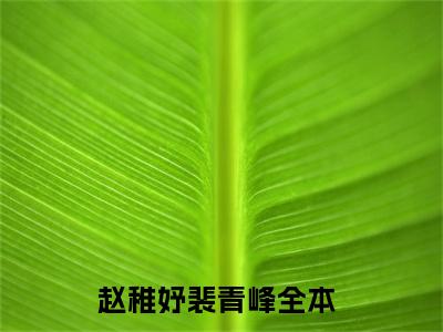 主角为赵稚妤裴青峰的小说叫什么-最新小说全文阅读