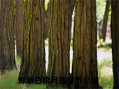 郁峭白梁月落（郁峭白梁月落）全文免费阅读大结局_郁峭白梁月落最新章节列表_笔趣阁