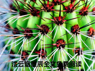 沈云烟墨辰（沈云烟墨辰）全文免费阅读大结局_沈云烟墨辰最新章节列表_笔趣阁