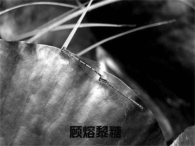 顾熔黎糖小说最新试读_(顾熔黎糖免费阅读最新章节列表)_笔趣阁