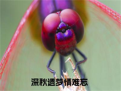 靳云霆沈月绾小说深秋遗梦情难忘大结局阅读-新上热文小说靳云霆沈月绾（深秋遗梦情难忘）讲的是什么