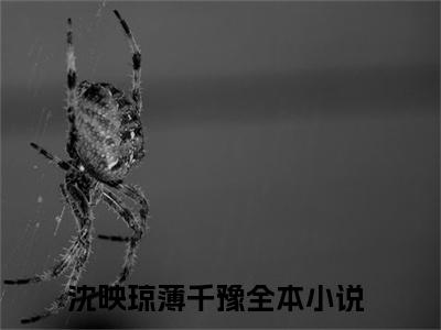 沈映琼薄千豫(沈映琼薄千豫)全文免费阅读无弹窗大结局_(沈映琼薄千豫)小说免费阅读无弹窗最新章节列表_笔趣阁