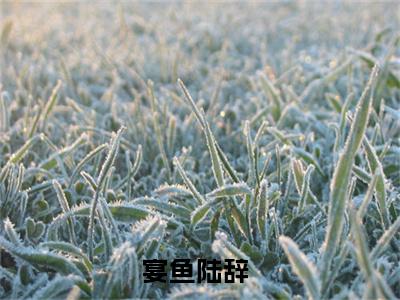 宴鱼陆辞（宴鱼陆辞)全文免费阅读无弹窗大结局_宴鱼陆辞全文免费阅读_笔趣阁（宴鱼陆辞）