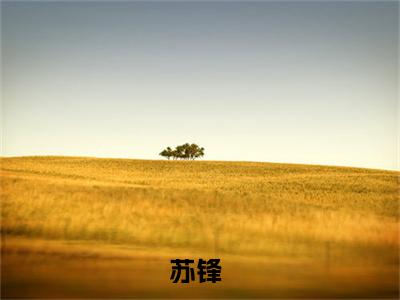 足球之神（苏锋）免费阅读无弹窗大结局_（苏锋）足球之神最新章节列表_笔趣阁