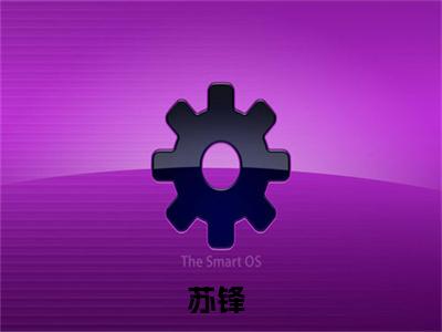 苏锋免费完结小说-足球之神（苏锋）在线阅读全文（苏锋）