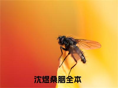 沈煜桑胭(沈煜桑胭)小说免费阅读大结局无弹窗_(沈煜桑胭)最新章节列表笔趣阁（沈煜桑胭）