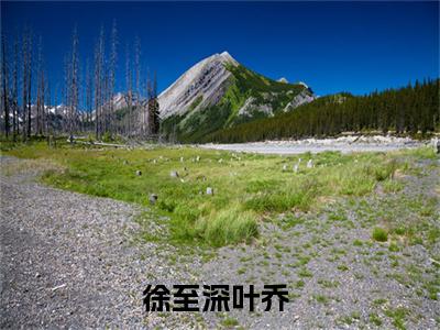 （徐至深叶乔）抖音徐至深叶乔小说阅读完结版-小说徐至深叶乔全文免费阅读