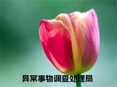 异常事物调查处理局（时律唐容）全文免费阅读无弹窗大结局_异常事物调查处理局时律唐容最新章节列表_笔趣阁