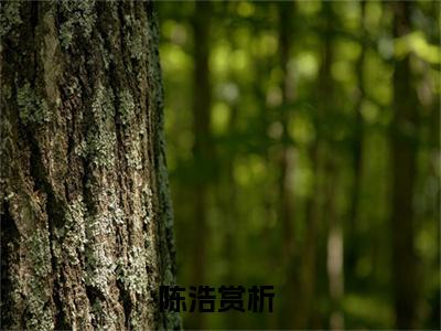 民企崛起小说（陈浩）精彩章节-陈浩全文免费在线阅读