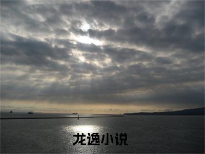龙逸（盖世兵王免费阅读无弹窗）盖世兵王最新章节列表_笔趣阁