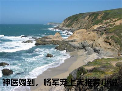 神医嫁到，将军宠上天沐南婉完整版全文在线赏析-沐南婉全文在线阅读