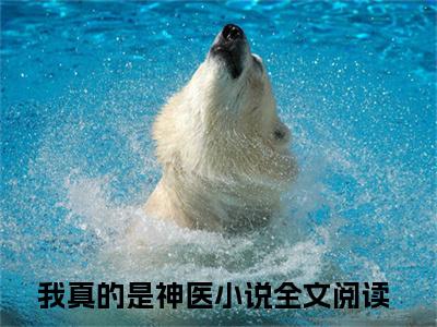 我真的是神医（李易）全文在线阅读无弹窗大结局_我真的是神医精选免费小说大结局阅读_李易