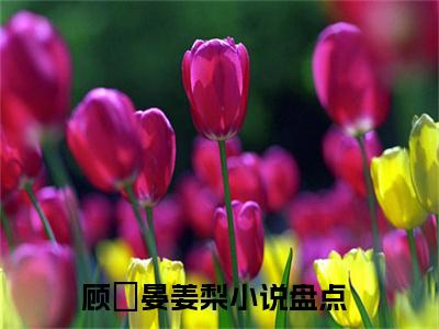 顾祇晏姜梨（顾祇晏姜梨）全文免费阅读无弹窗大结局_顾祇晏姜梨最新章节列表（顾祇晏姜梨）
