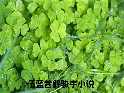 伍蓝茜解骏宇的书名全文免费 伍蓝茜解骏宇在线阅读小说免费阅读