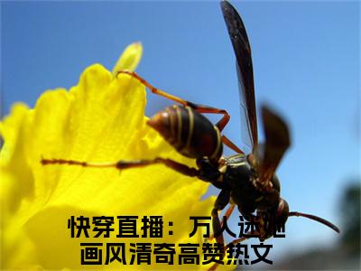 快穿直播：万人迷她画风清奇小说免费阅读-伊柠完整版全文大结局