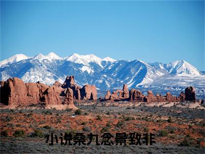 桑九念景致非（桑九念景致非）全文免费阅读无弹窗_桑九念景致非最新小说_笔趣阁（桑九念景致非）