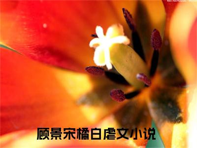 顾景宋橘白小说无弹窗（顾景宋橘白）全文免费阅读无弹窗大结局_(顾景宋橘白）顾景宋橘白最新章节列表_笔趣阁（顾景宋橘白）