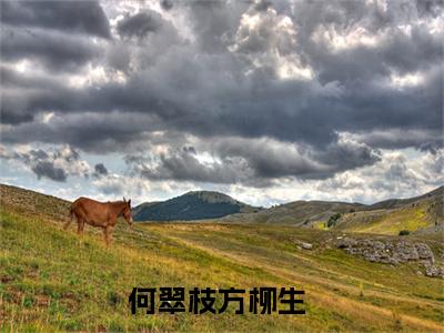 穿成极品恶婆婆，连房带车入农门全集免费阅读无弹窗_何翠枝方柳生完结小说榜单阅读（何翠枝方柳生小说）