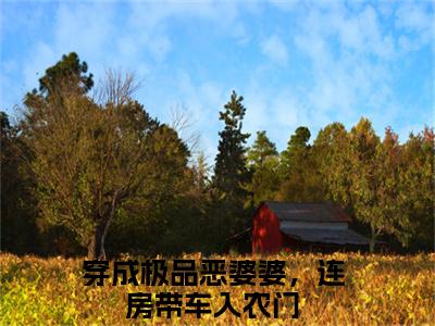 穿成极品恶婆婆，连房带车入农门小说（何翠枝方柳生）全文免费阅读无弹窗大结局-何翠枝方柳生最新热点小说