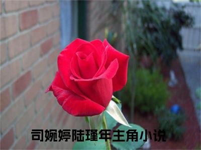 司婉婷陆瑾年最新章节（司婉婷陆瑾年）全文免费阅读无弹窗大结局_司婉婷陆瑾年免费阅读（司婉婷陆瑾年）