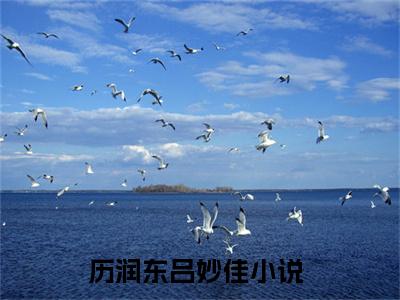 历润东吕妙佳（历润东吕妙佳小说）全文免费阅读无弹窗大结局_（历润东吕妙佳）历润东吕妙佳最新章节列表笔趣阁（历润东吕妙佳）