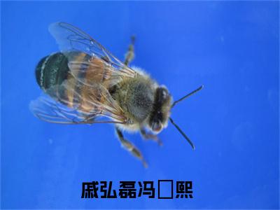 戚弘磊冯婼熙（戚弘磊冯婼熙）全文免费阅读无弹窗大结局_ (戚弘磊冯婼熙小说免费阅读)最新章节列表_笔趣阁