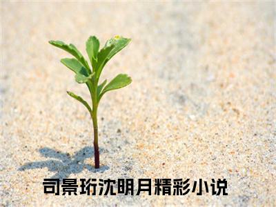 司景珩沈明月全文免费阅读无弹窗大结局_（司景珩沈明月小说）司景珩沈明月在线免费阅读