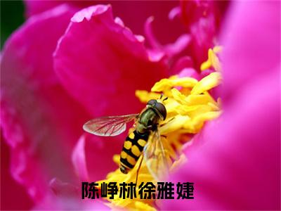 陈峥林徐雅婕（陈峥林徐雅婕）全文免费阅读无弹窗大结局_陈峥林徐雅婕最新章节列表-笔趣阁陈峥林徐雅婕