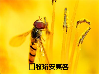 牧珩安夷容全文免费阅读无弹窗大结局-牧珩安夷容免费阅读最新章节列表（牧珩安夷容）