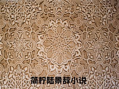 简柠陆景辞小说全文免费阅读（简柠陆景辞）全文免费阅读无弹窗大结局_（简柠陆景辞）简柠陆景辞结局最新章节列表_笔趣阁（简柠陆景辞）