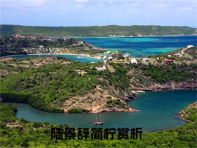 陆景辞简柠热门小说最新章节免费阅读-完结版全文陆景辞简柠小说在线阅读