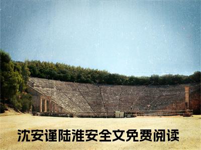 沈安谨陆淮安（沈安谨陆淮安）全文免费阅读无弹窗大结局_沈安谨陆淮安小说免费最新章节列表_笔趣阁