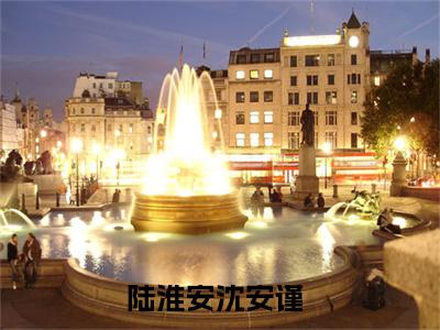 陆淮安沈安谨（陆淮安沈安谨）全文免费阅读无弹窗大结局_(陆淮安沈安谨小说免费阅读)最新章节_笔趣阁（陆淮安沈安谨）