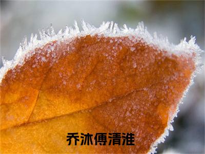 乔沐傅清淮（乔沐傅清淮)全文免费阅读无弹窗大结局_乔沐傅清淮全文免费阅读_笔趣阁（乔沐傅清淮）