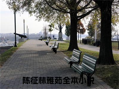 陈征林雅茹（陈征林雅茹精彩美文）免费阅读-小说陈征林雅茹最后结局如何