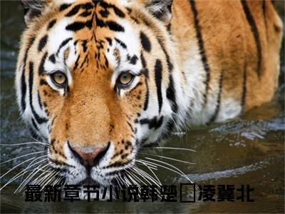 男女主人公韩楚玥凌冀北小说搞笑韩楚玥凌冀北全文免费阅读